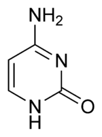 Structure de la 1H-Cytosine