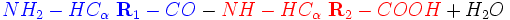  {\color{Blue}NH_2 - HC_\alpha\ \mathbf{R}_1 - CO} - {\color{Red}NH - HC_\alpha\ \mathbf{R}_2 - COOH} + H_2O 