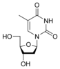 structure chimique de la désoxythymidine